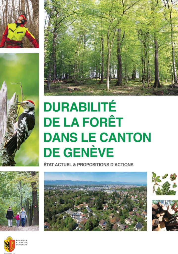 EtienneEtienne fait parler les arbres genevois